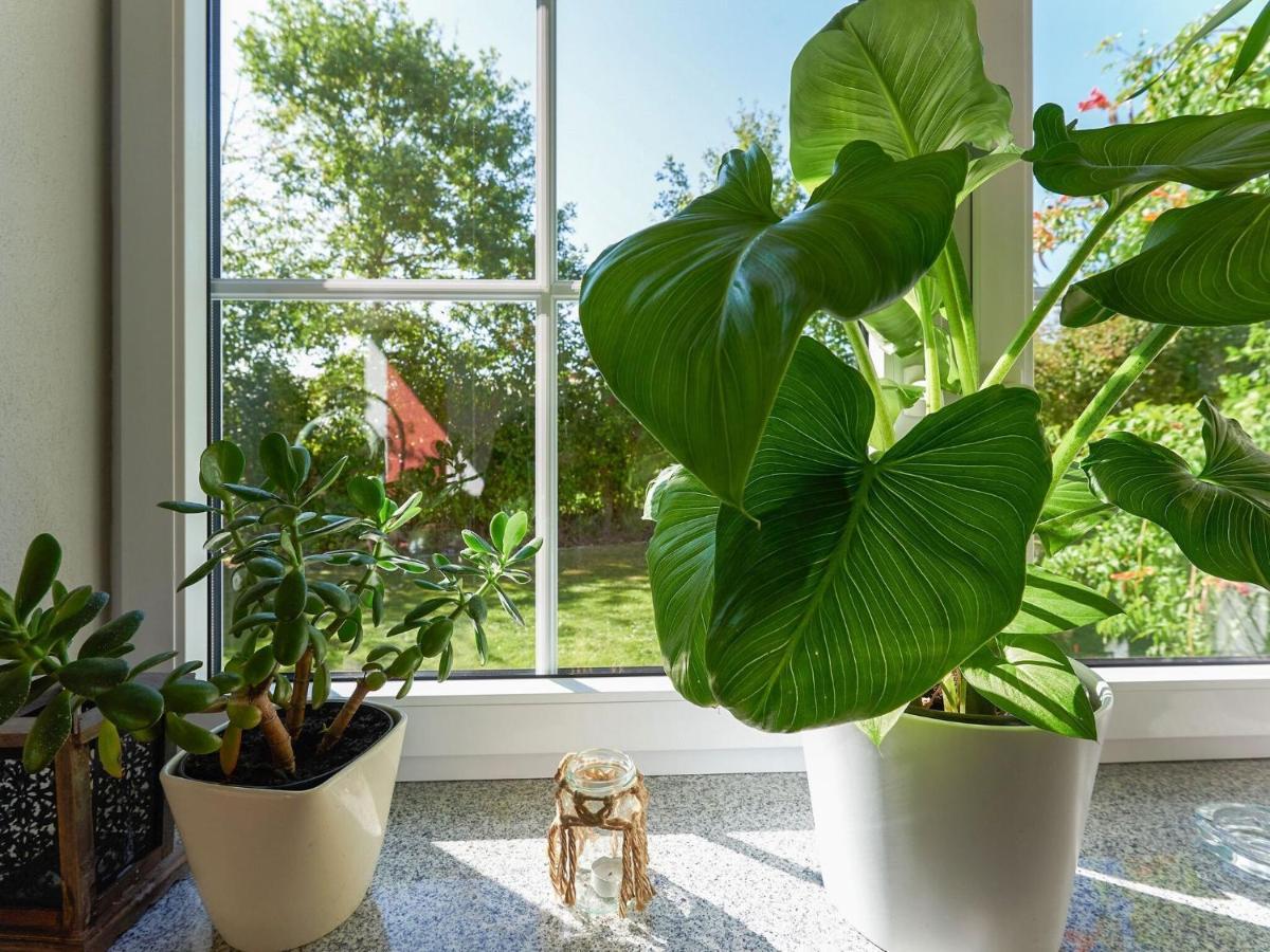 Nice Flat With Sauna Covered Terrace Garden And Tree House For Children Zandt Bagian luar foto